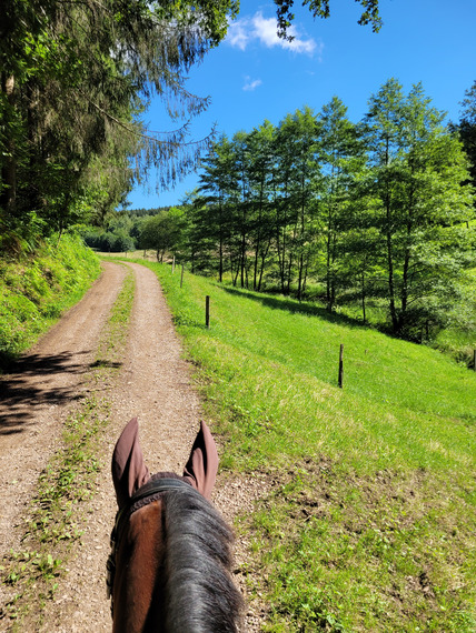 20240714_103938_428x570