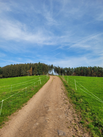 20241026_151925_428x570