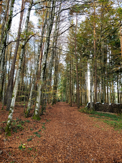 20241026_154400_428x570