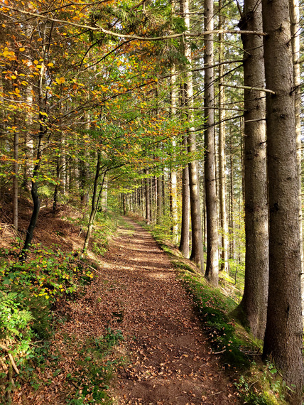 20241026_160646_428x570