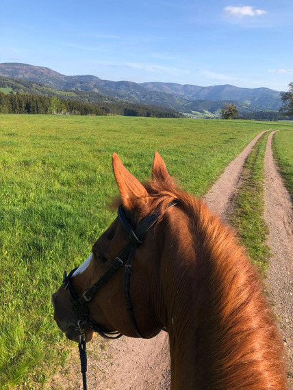 IMG-20241027-WA0010_428x570