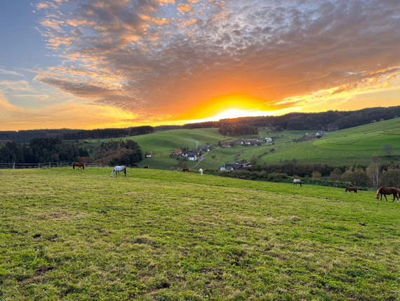 Sonnenuntergang auf der Weide