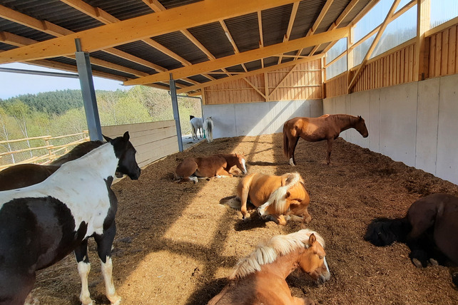 Lukasenhof_Liegehalle_642x428